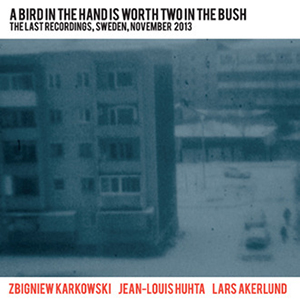 Lars Åkerlund - A Bird In The Hand Is Worth Two In The Bush - The Last Recordings, Sweden, November 2013 (2 CD)