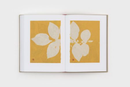 Diario de Plantas (2 volumes)