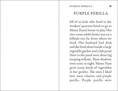 Purple Perilla