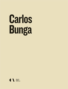 Carlos Bunga - 