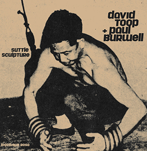 David Toop, Paul Burwell - Suttle Sculpture (vinyl LP) 