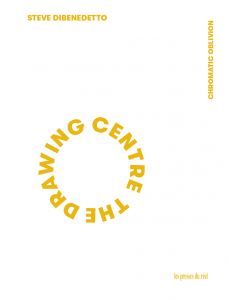 Steve DiBenedetto - The Drawing Centre 