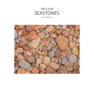 Ned Lagin - Seastones 