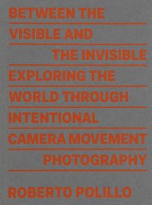 Roberto Polillo - Between the visible and the invisible 
