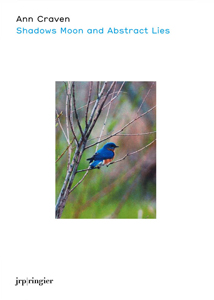 Ann Craven - Shadows Moon and Abstract Lies