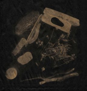  Le fruit vert - À  La Becque