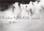 Fujiko Nakaya - Fog