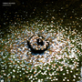 Alexandre Joly / Tomoko Sauvage - Shimmering Sounds