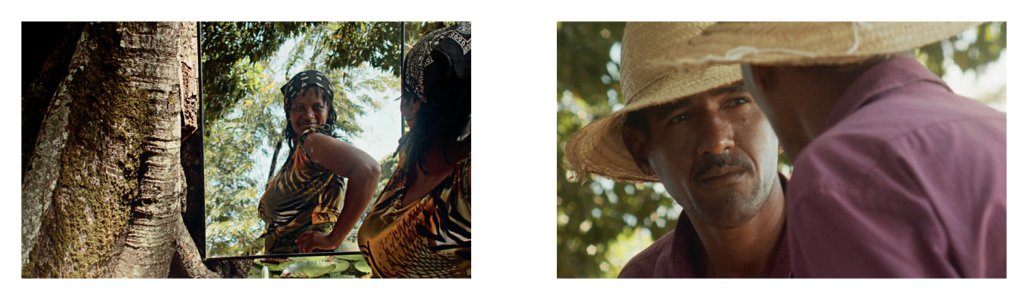 Tropical hangover and other stories