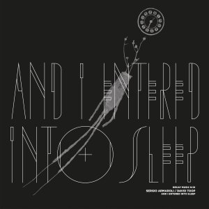 Sergio Armaroli - Decay Music n.10 - And I Entered Into Sleep (vinyl LP)
