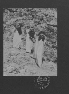 Le Nemesiache - Reclaiming Mythological Rituals 