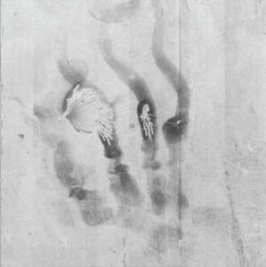 Robin Watkins - Heliogram (book + flexi disc)