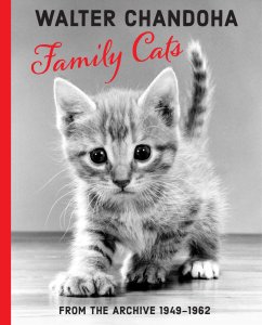 Walter Chandoha - Family Cats - From the archive 1950-1969
