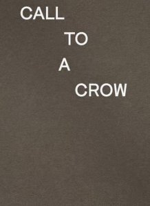 David Horvitz - Call To A Crow 