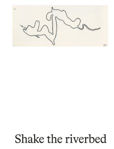  mountaincutters - Shake the Riverbed