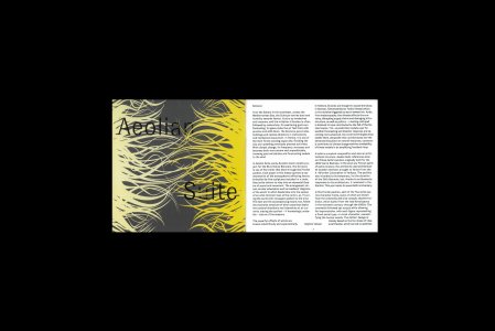Aeolian Suite (book + vinyl LP)