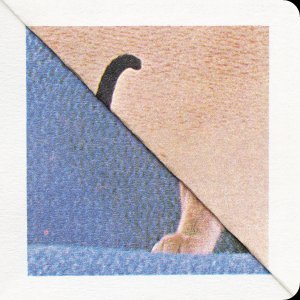 Erica Baum - Blue Kitten