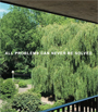 Jozef Wouters & Pol Matthé - All Problems Can Never Be Solved
