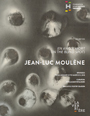 Jean-Luc Moulène - En angle mort