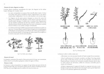 Guide de jardinage écologique