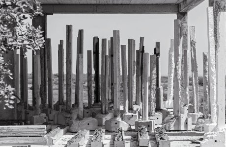 Forêts