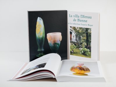 La collection Francis Meyer (coffret 2 livres)