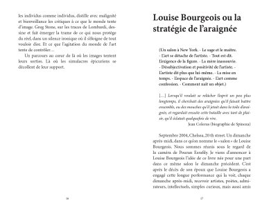 Essais d'esthétiques new-yorkaises
