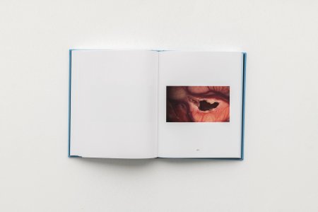 Human Insights
