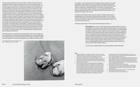 e-flux Index