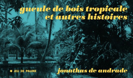Jonathas de Andrade - Gueule de bois tropicale et autres histoires