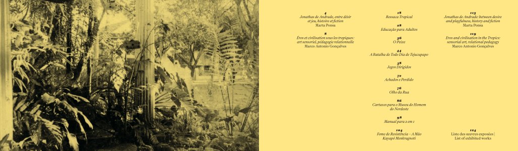 Gueule de bois tropicale et autres histoires