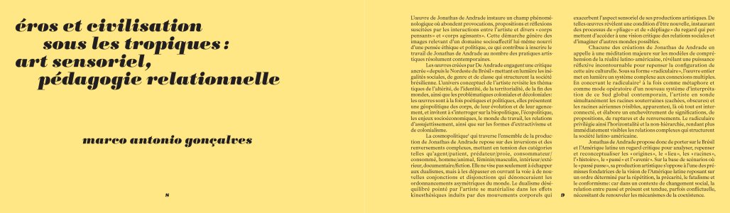 Gueule de bois tropicale et autres histoires