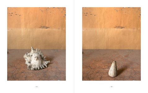Morandi's Objects