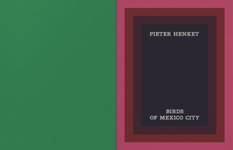 Birds of Mexico City