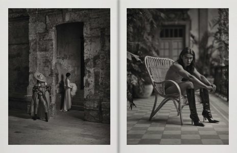 Birds of Mexico City