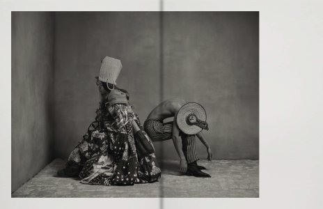 Birds of Mexico City