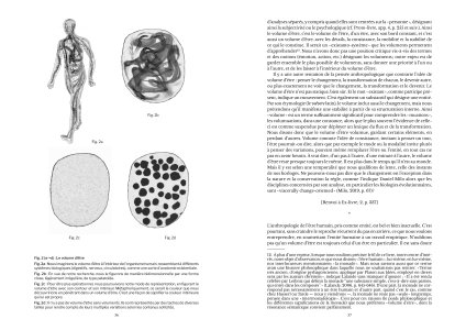 La forme élémentaire de l'être humain