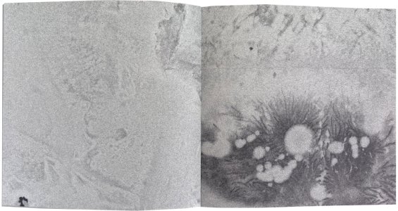 Heliogram (livre + flexi disc)