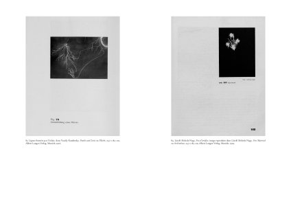 Kandinsky et l'image photographique