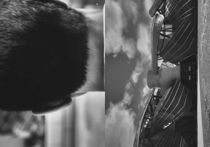 Where Will My Mouth Lead Me