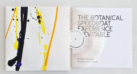 The Botanical Speedboat Experience Inevitable (vinyl LP)