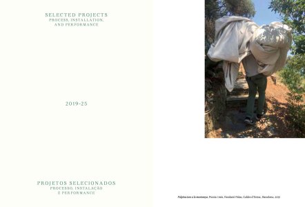 Inhabit the Contradiction