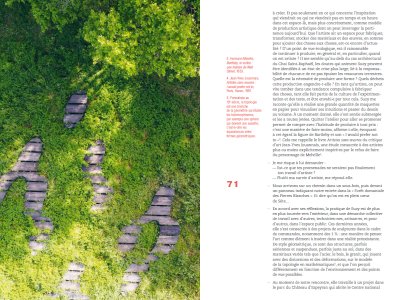 Mémoires d'une presque touriste en Occitanie