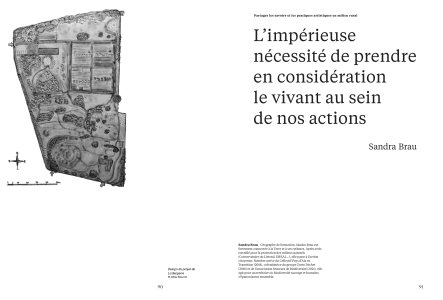 Cahiers mésozoaires