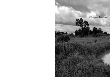 Cambodge – L'art devant l'extrême