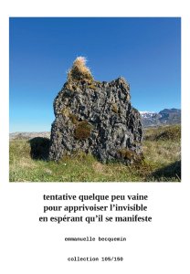 Emmanuelle Becquemin - Tentative quelque peu vaine pour apprivoiser l\'invisible en espérant qu\'il se manifeste - Collection 105/150