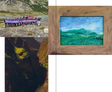 Le verdissement des Alpes