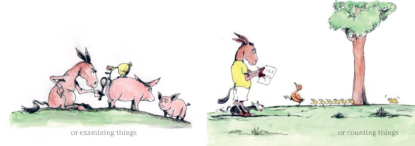 The Donkey who wanted to know things