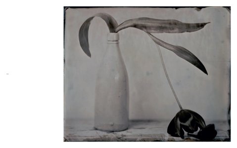 The Chemistry of Memory