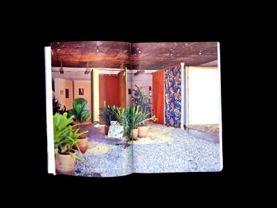 Inventing with Hélio Oiticica: The Story of a Friendship